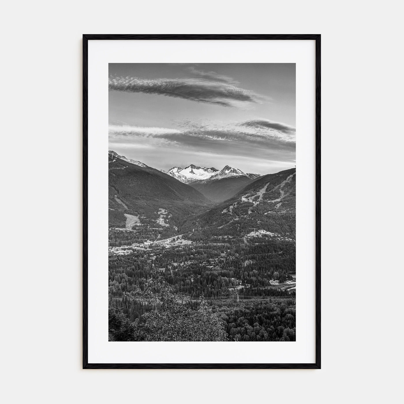 Whistler Photo B&W Poster