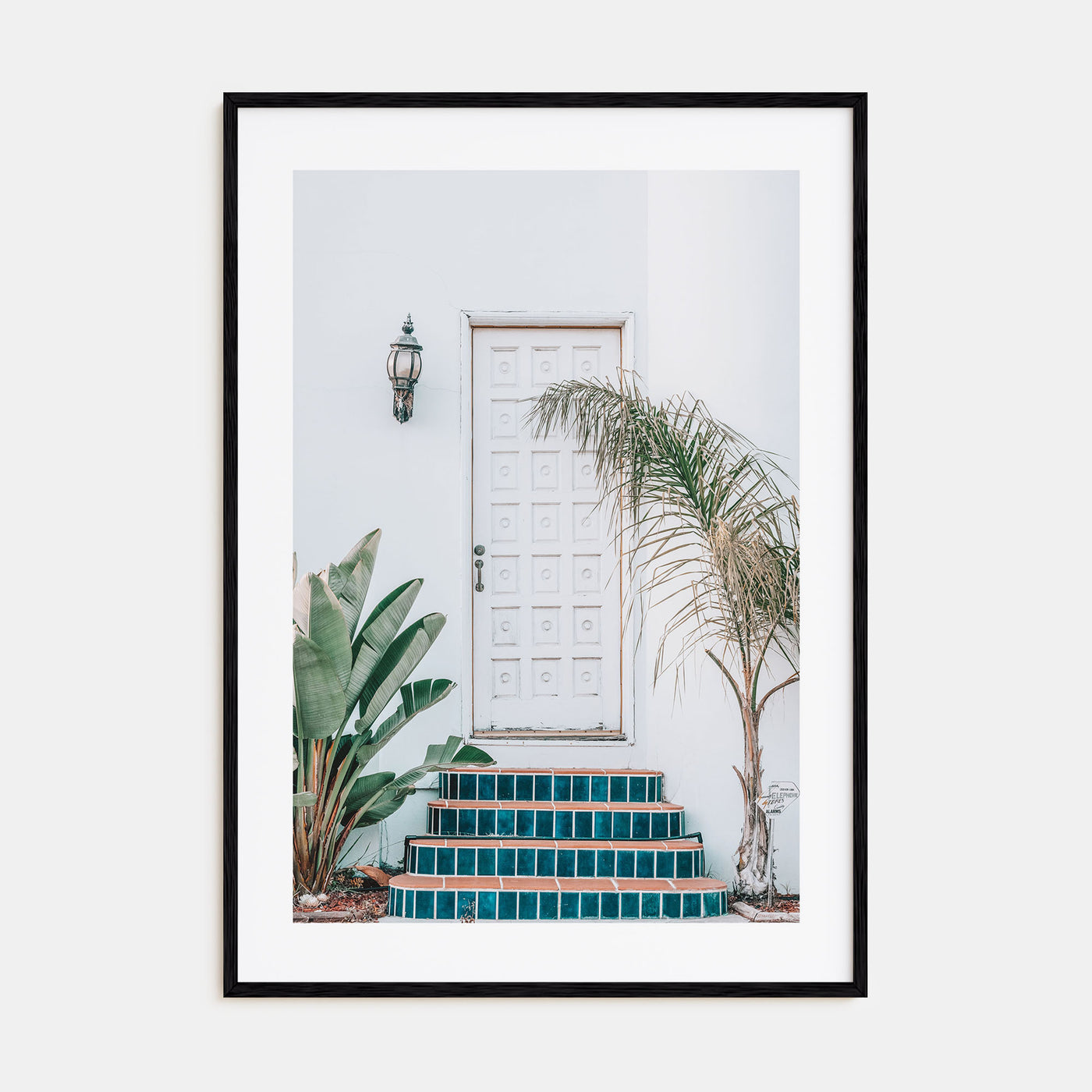 White Door Photo Color Poster