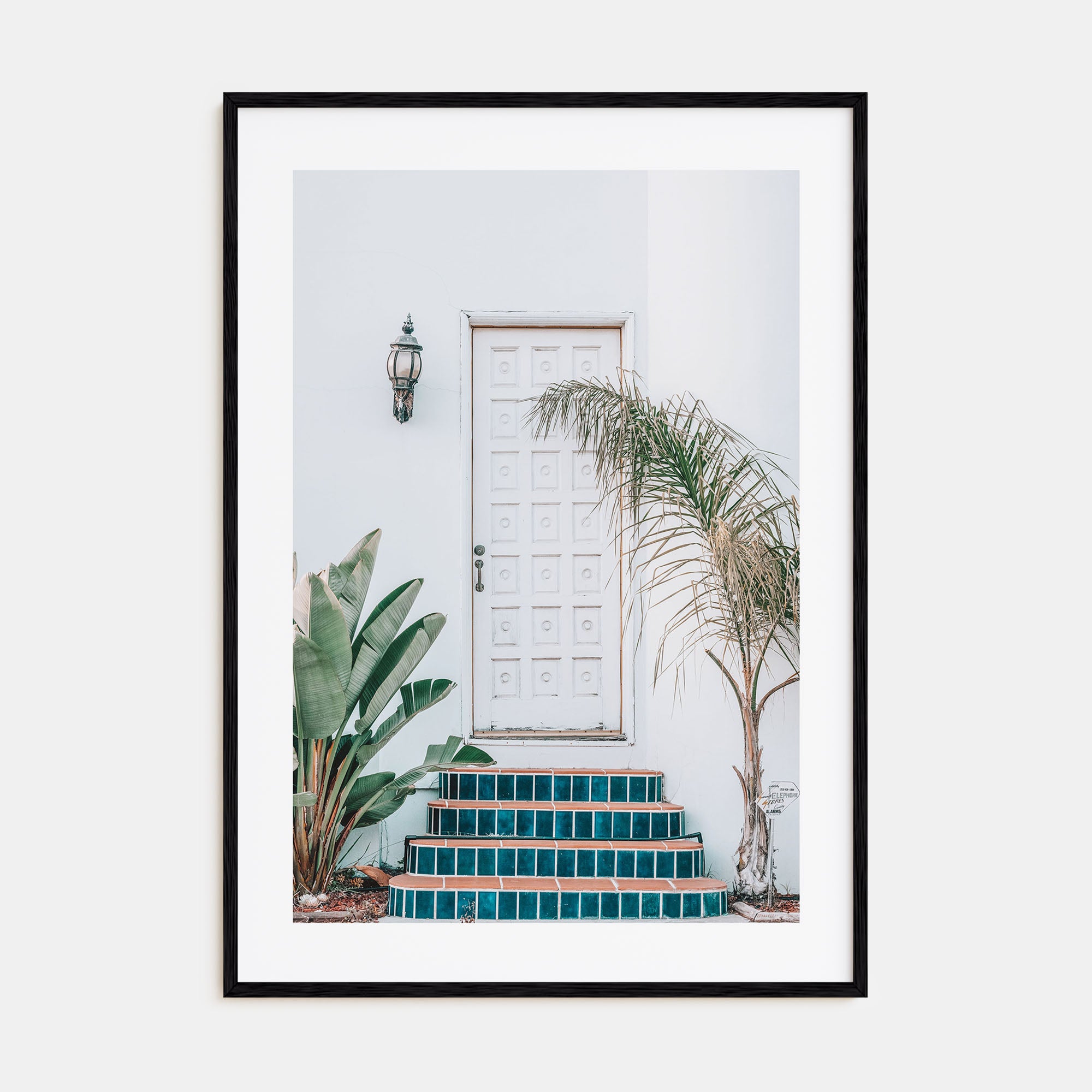 White Door Photo Color Poster