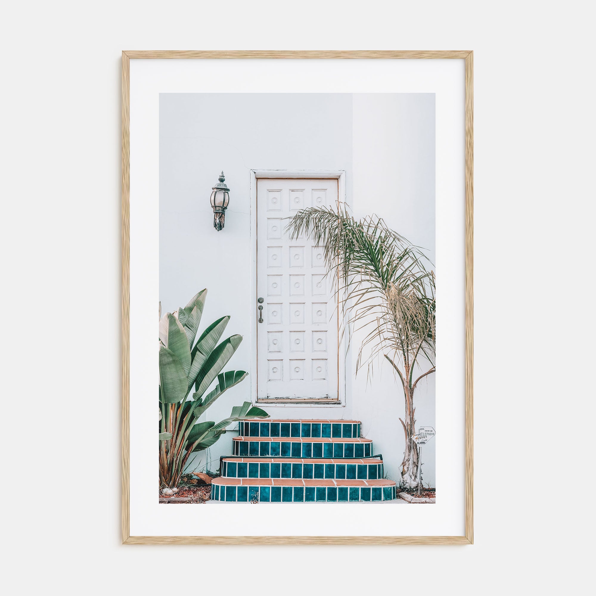 White Door Photo Color Poster