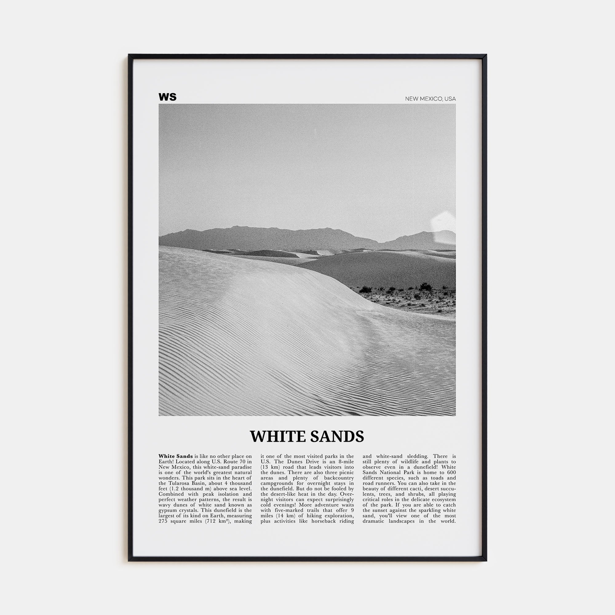 White Sands National Park Travel B&W Poster