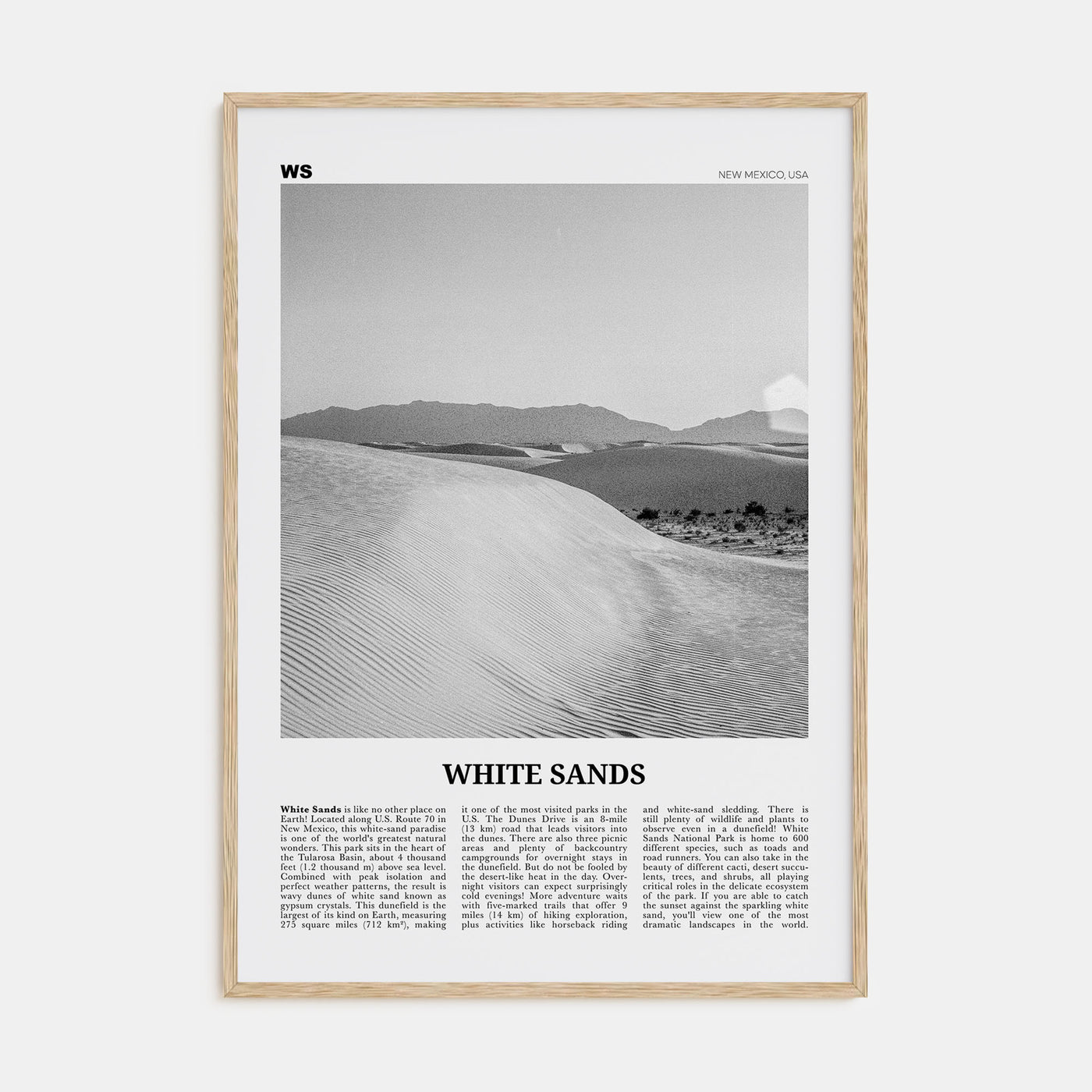 White Sands National Park Travel B&W Poster