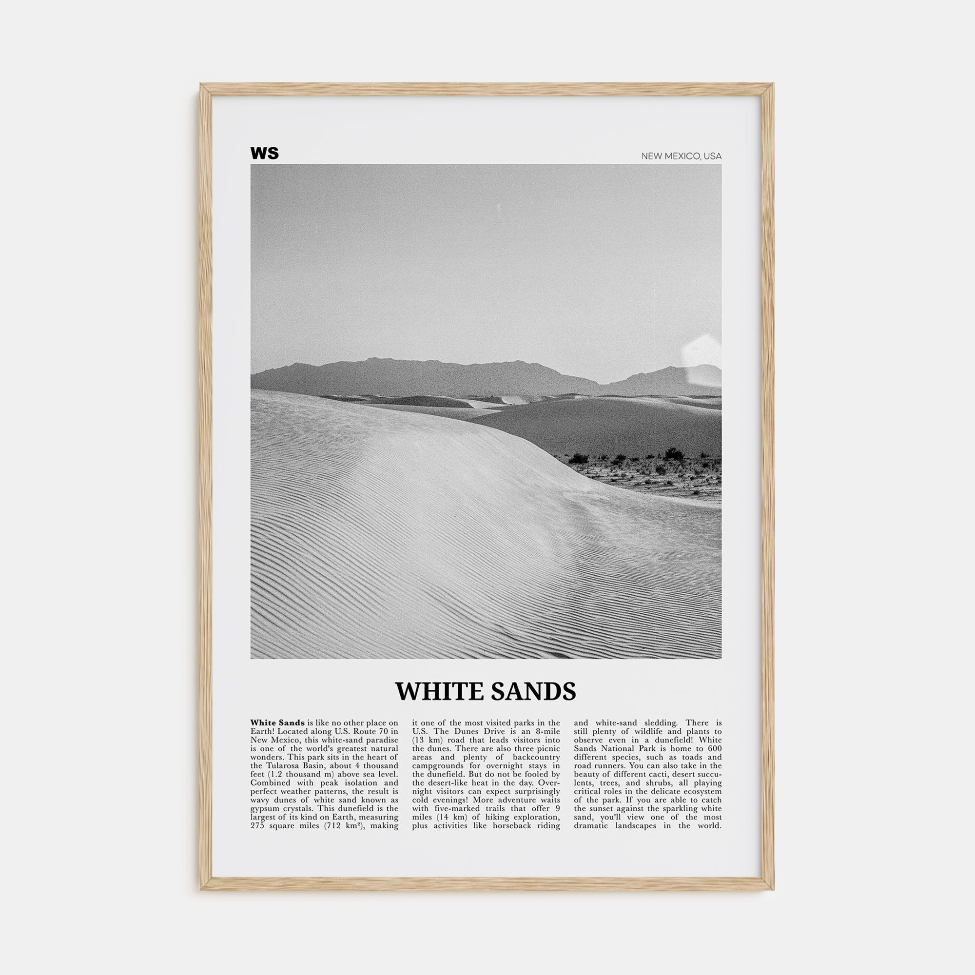 White Sands National Park Travel B&W Poster