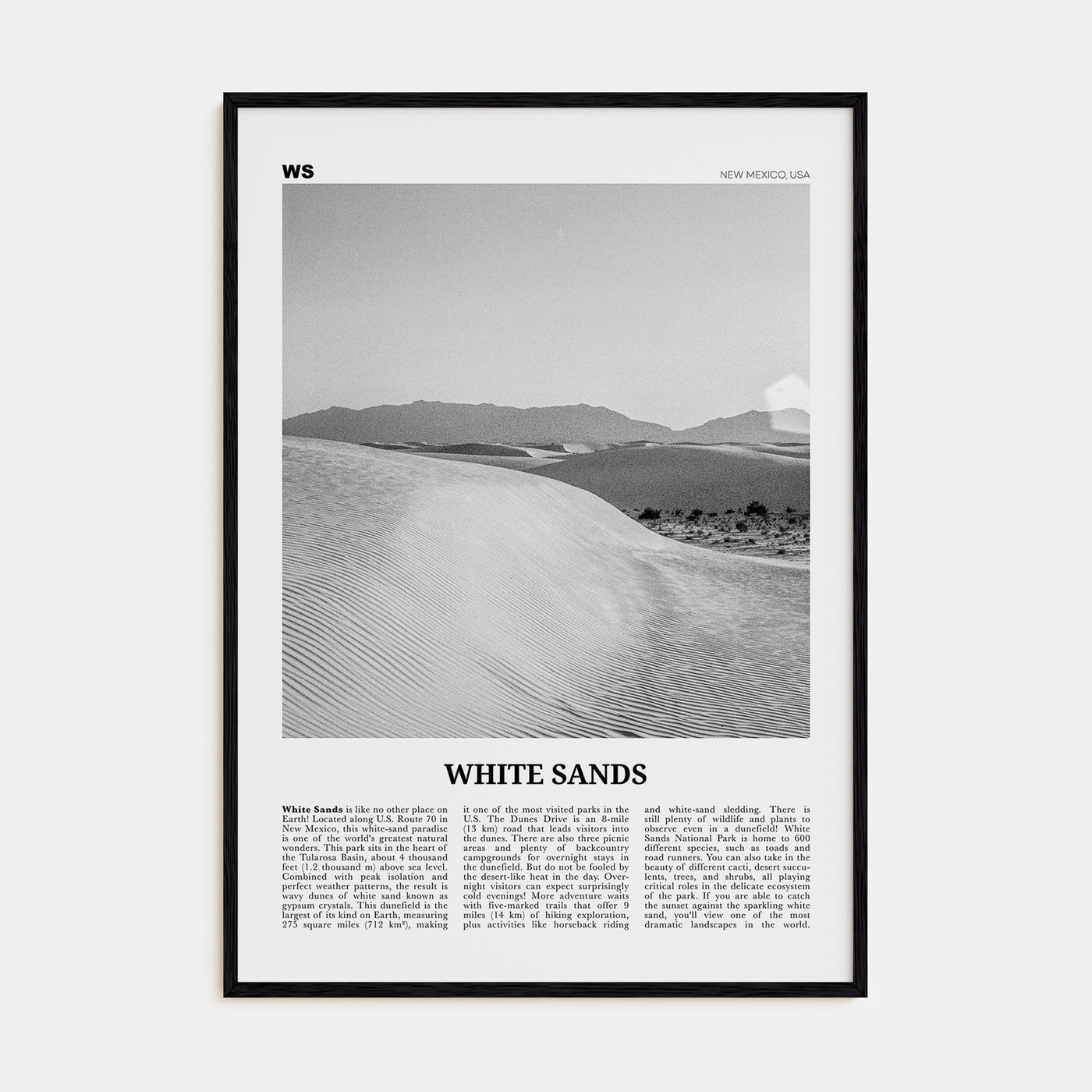 White Sands National Park Travel B&W Poster