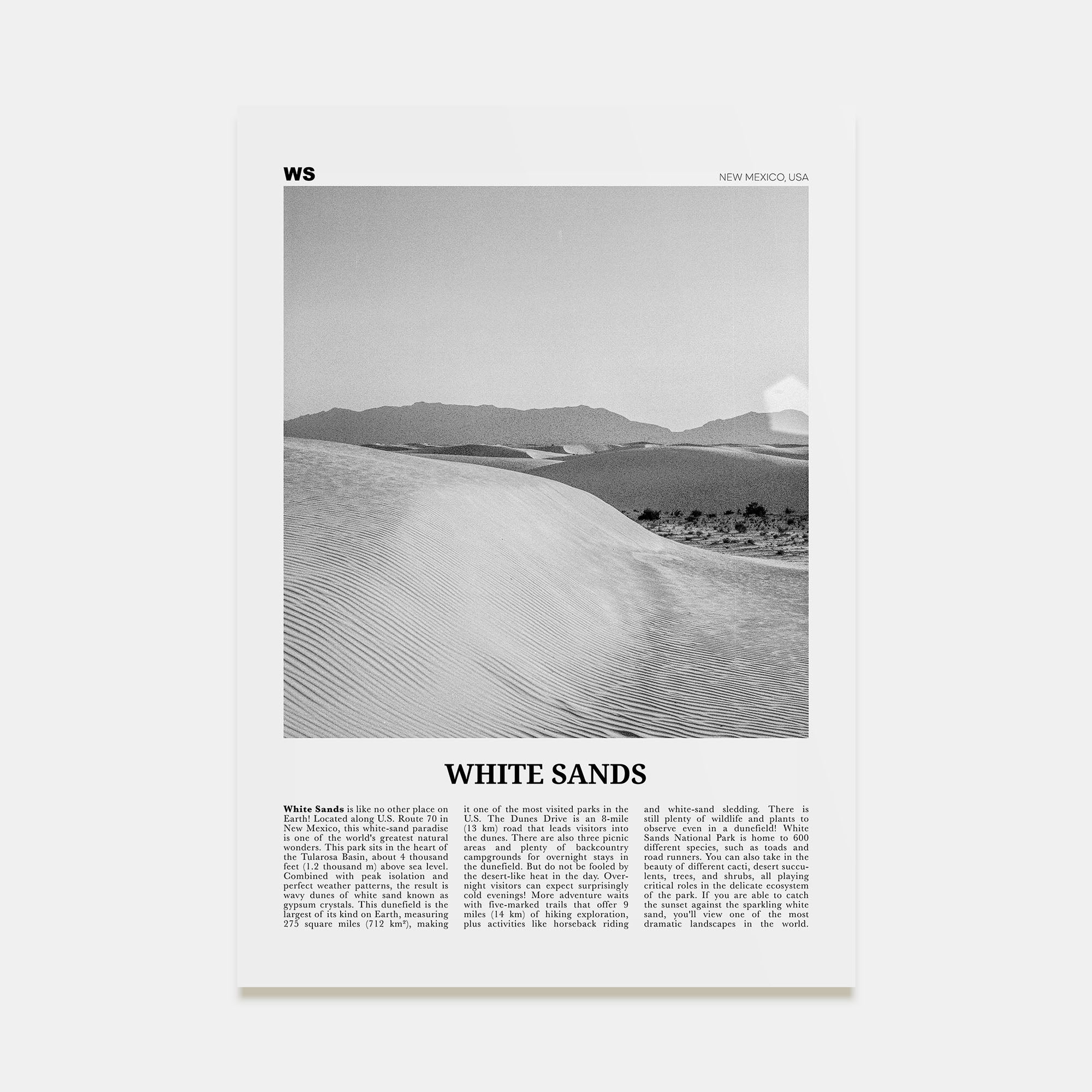 White Sands National Park Travel B&W Poster