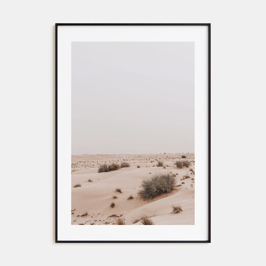 Wild Desert Photo Color Poster