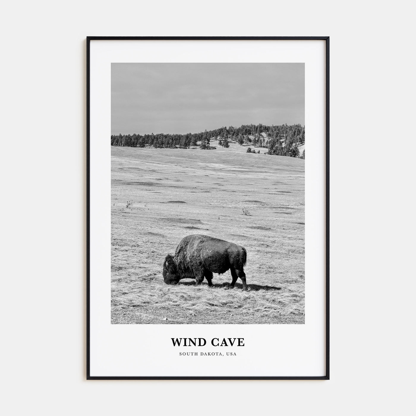 Wind Cave National Park Portrait B&W Poster