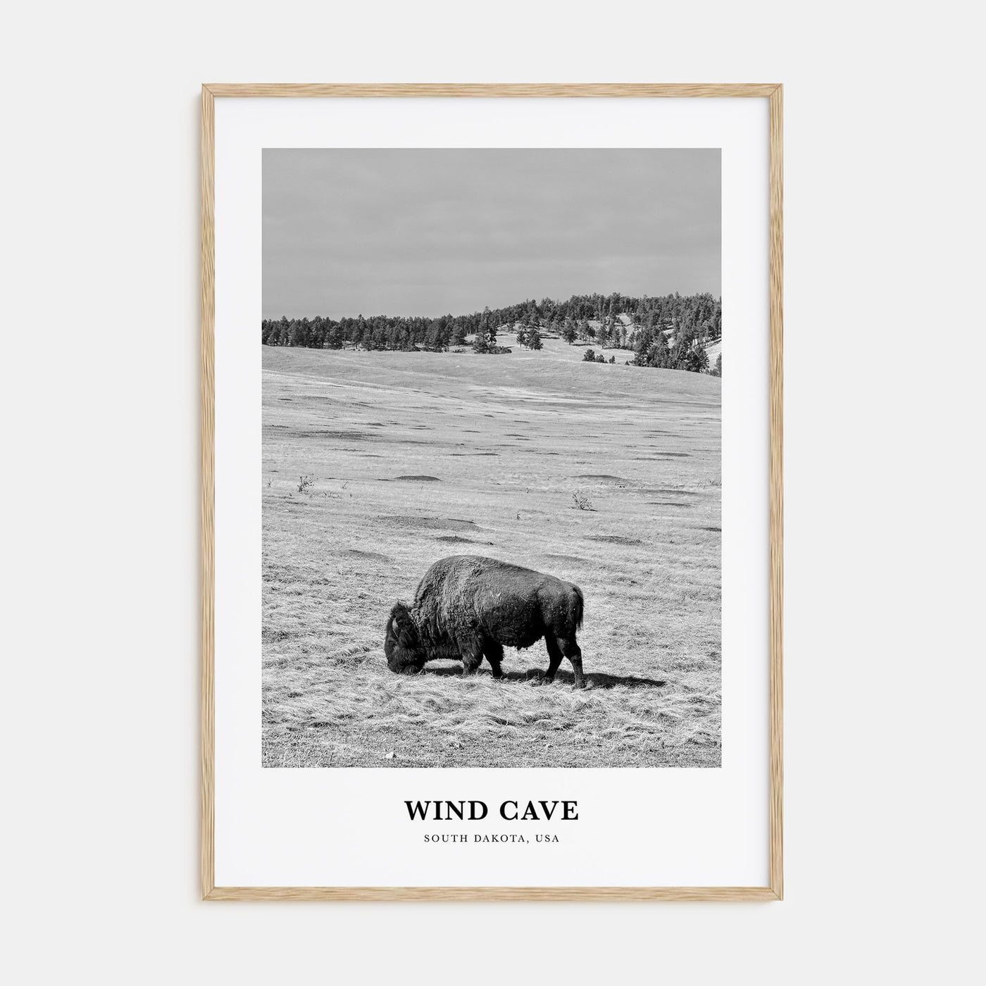 Wind Cave National Park Portrait B&W Poster