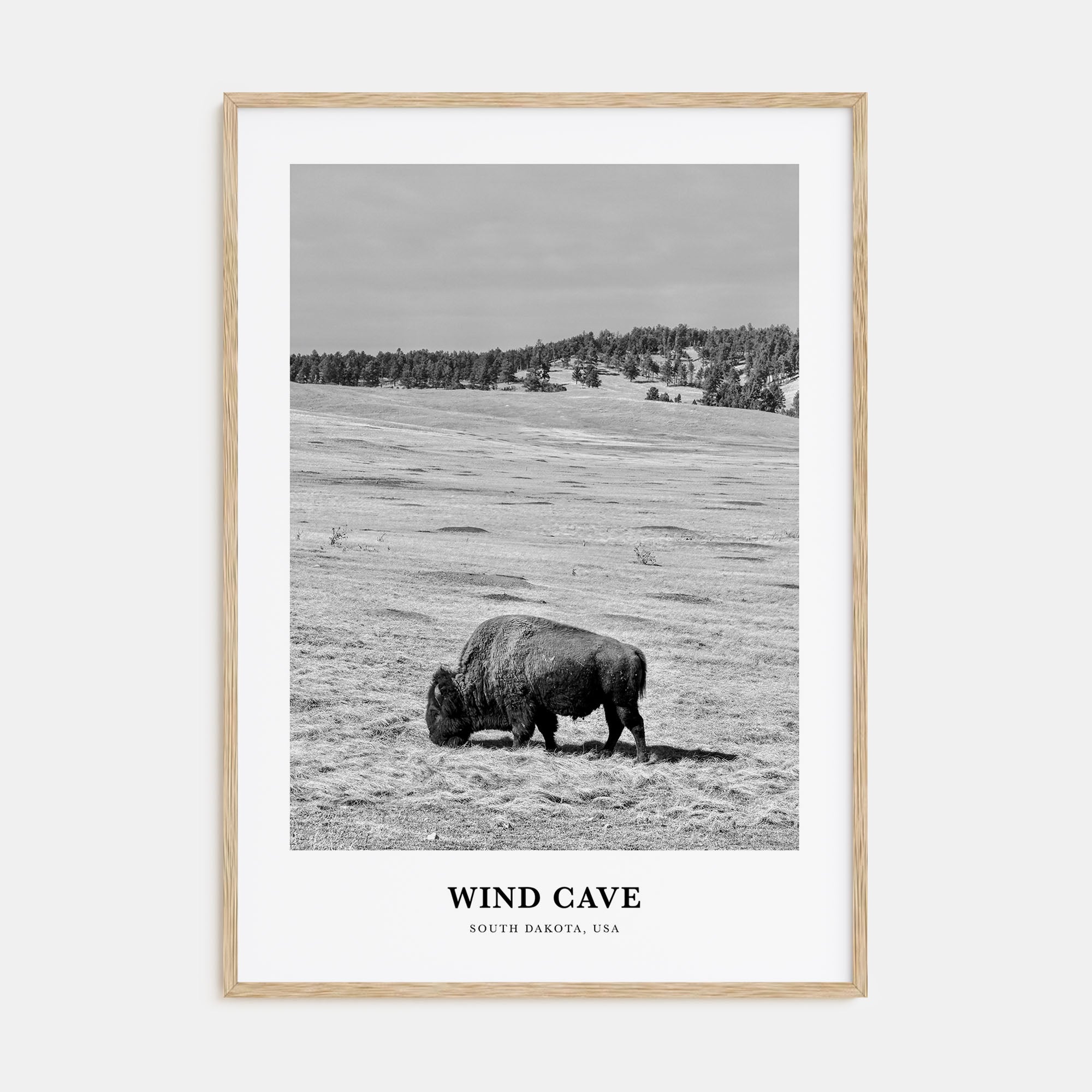 Wind Cave National Park Portrait B&W Poster