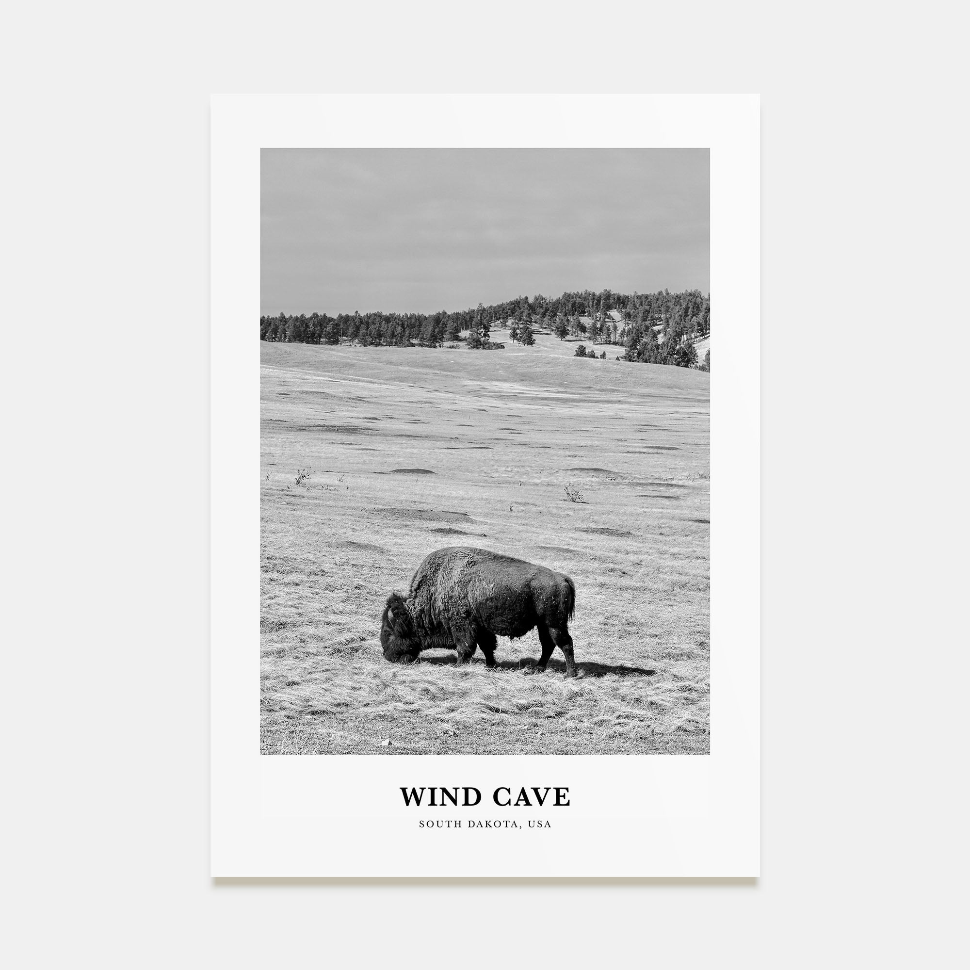 Wind Cave National Park Portrait B&W Poster