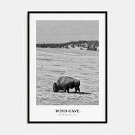 Wind Cave National Park Portrait B&W Poster