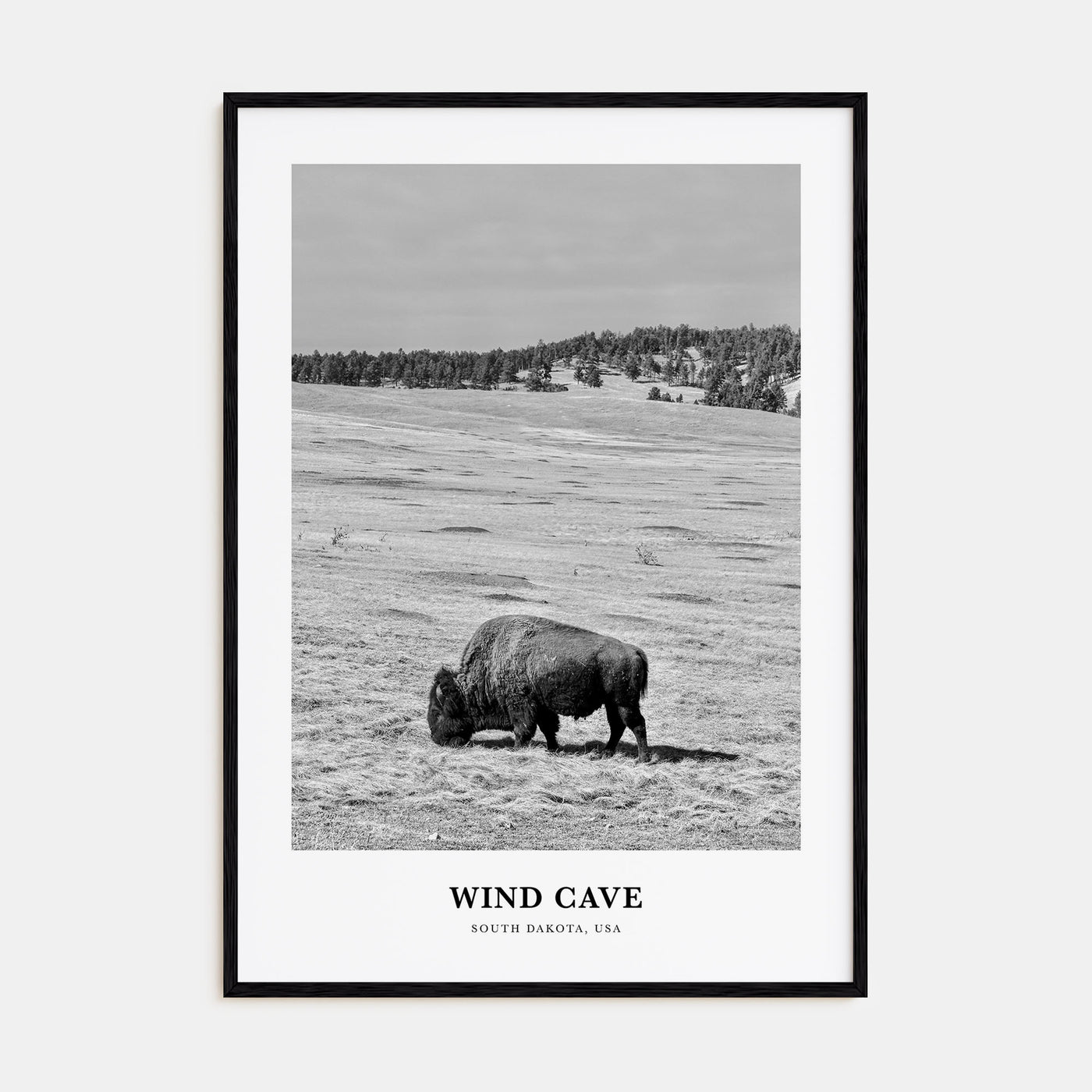 Wind Cave National Park Portrait B&W Poster