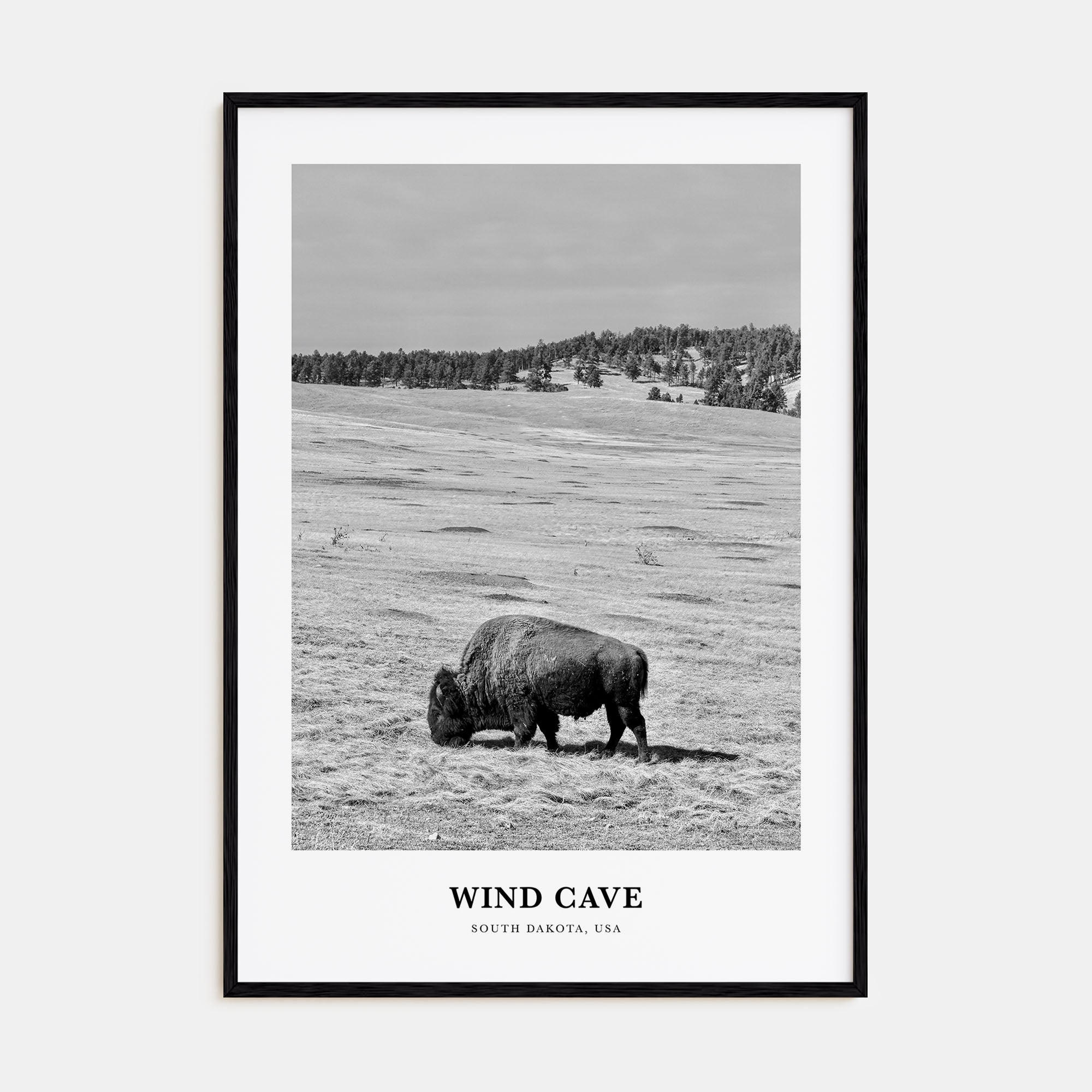 Wind Cave National Park Portrait B&W Poster