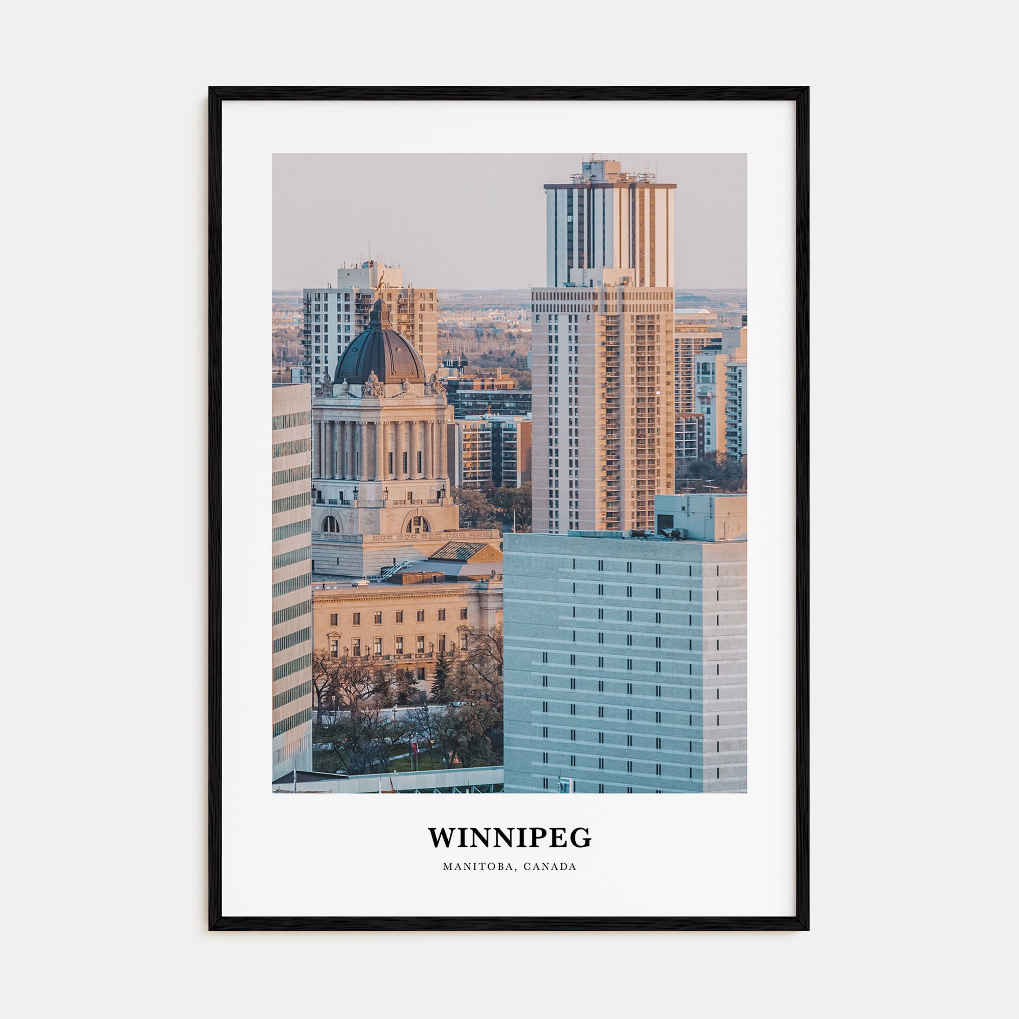 Winnipeg Portrait Color No 2 Poster