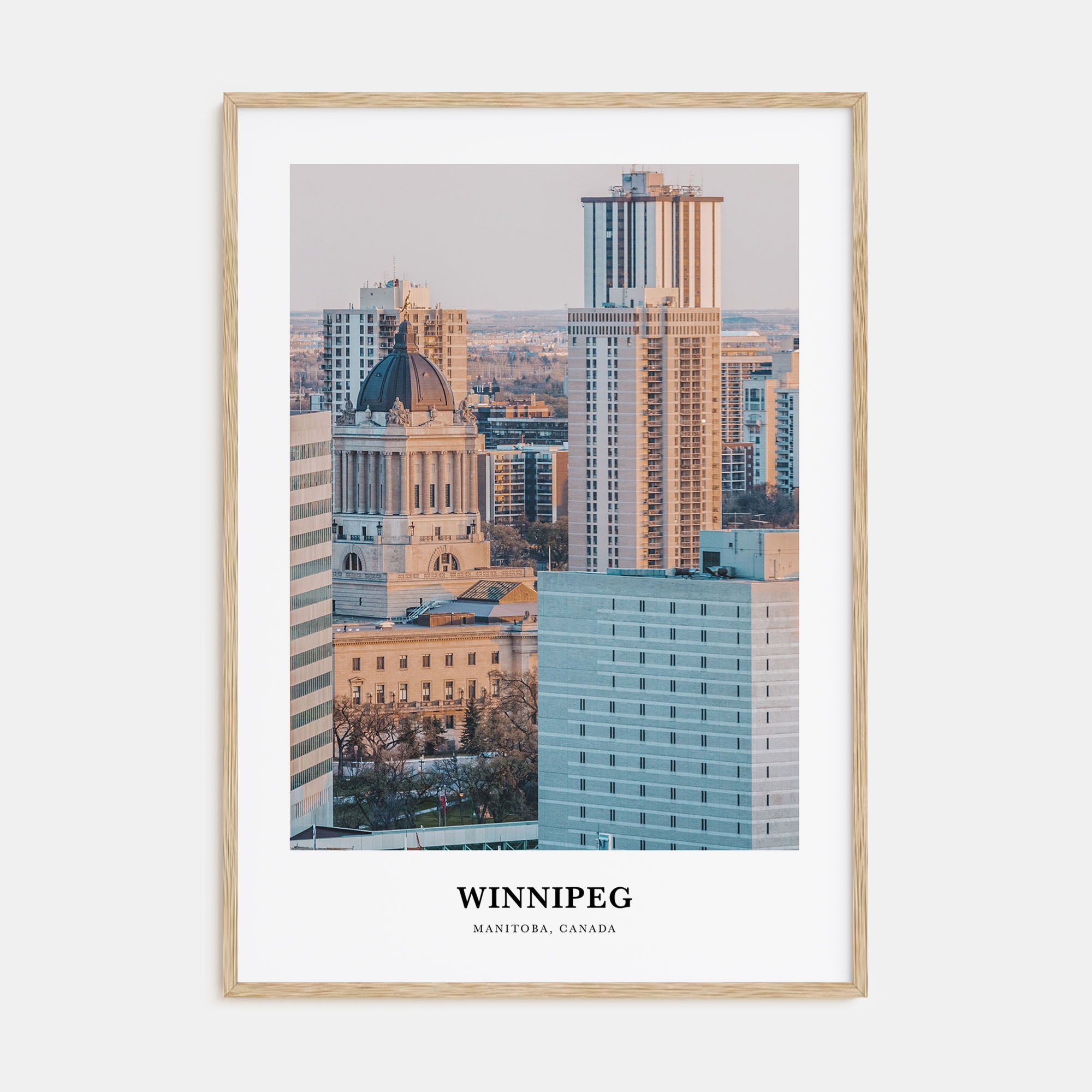 Winnipeg Portrait Color No 2 Poster