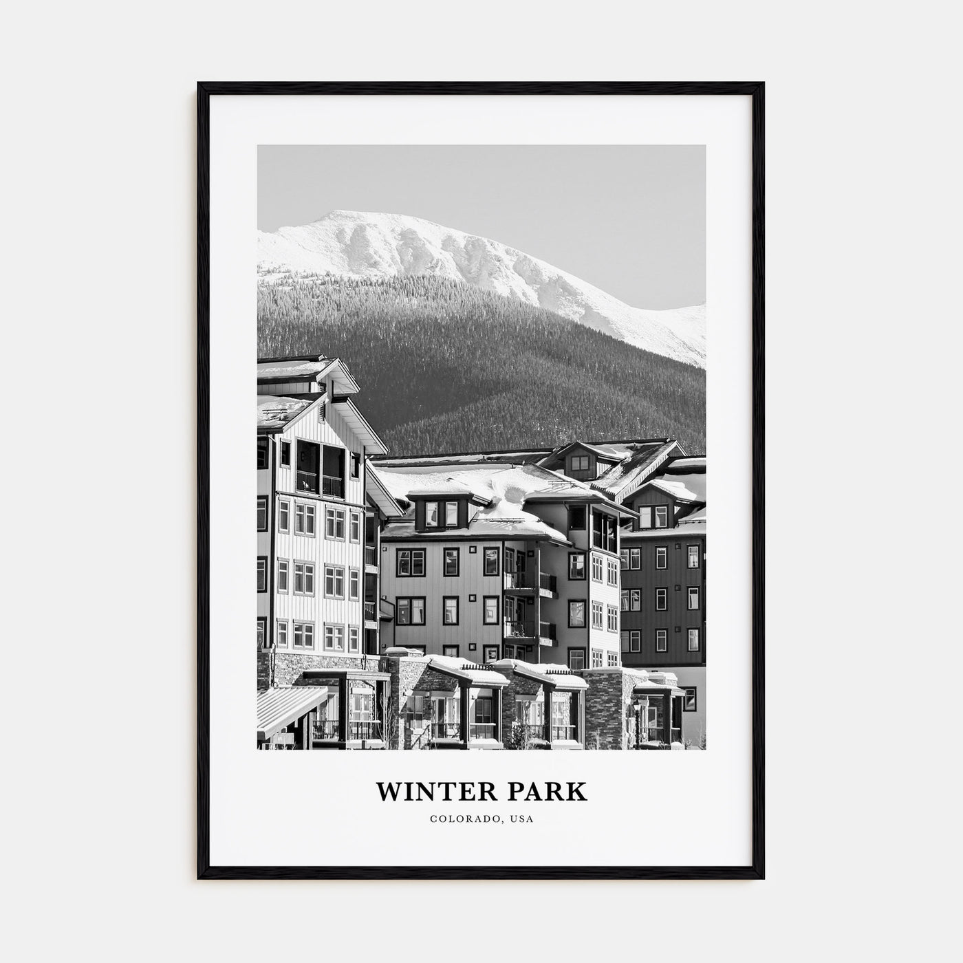 Winter Park Portrait B&W Poster