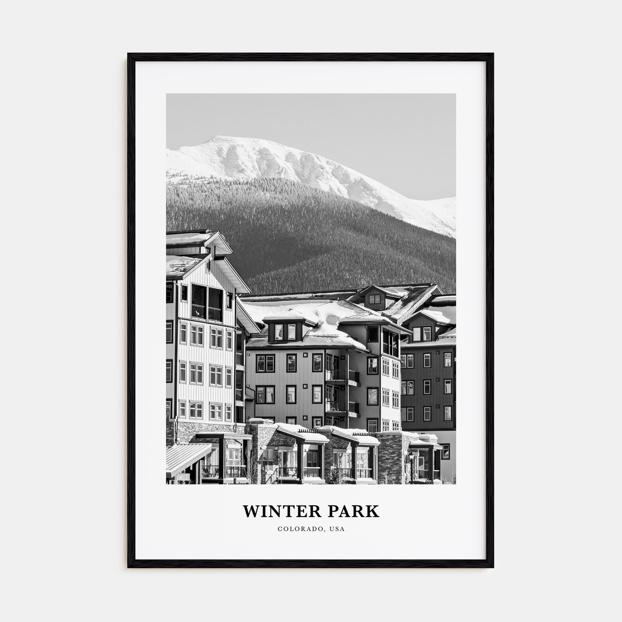 Winter Park Portrait B&W Poster