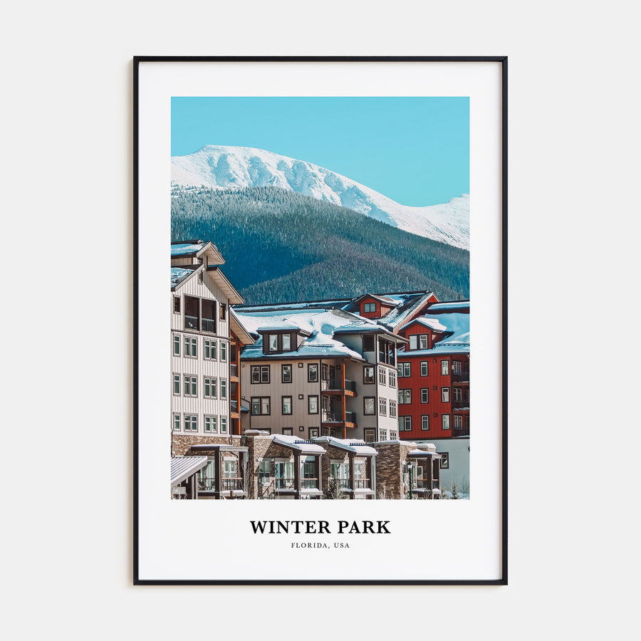 Winter Park Portrait Color Poster