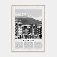 Winter Park Travel B&W Poster