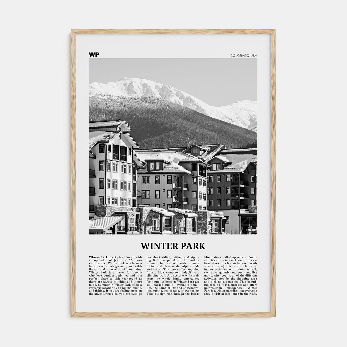 Winter Park Travel B&W Poster
