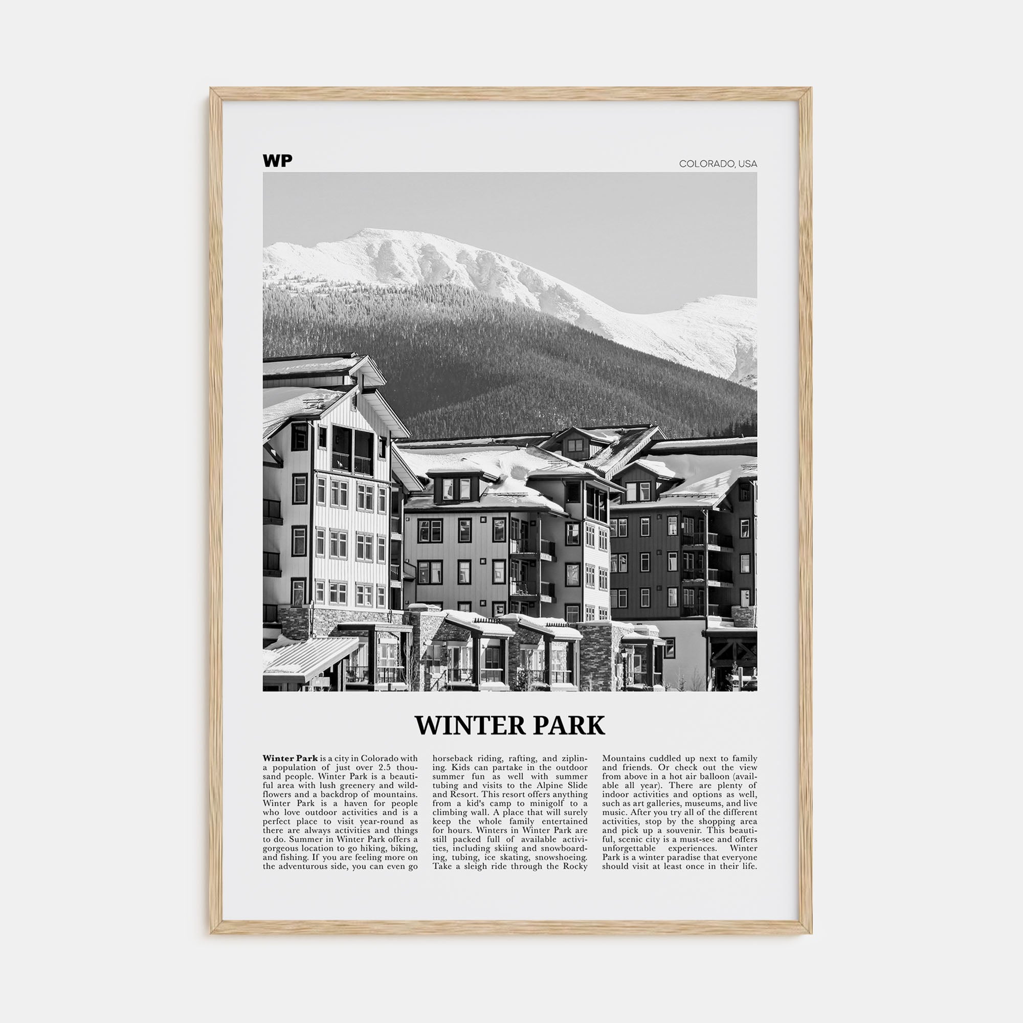 Winter Park Travel B&W Poster
