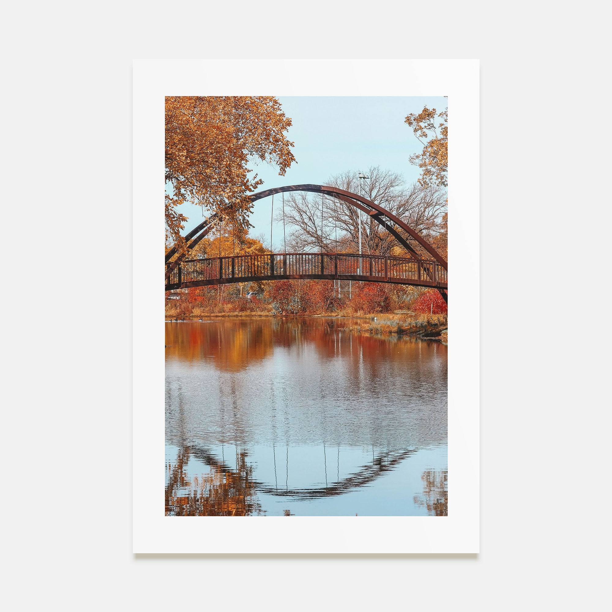 Wisconsin Photo Color No 3 Poster