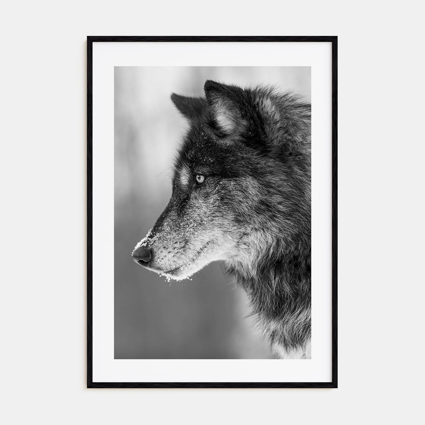 Wolf Photo B&W No 1 Poster