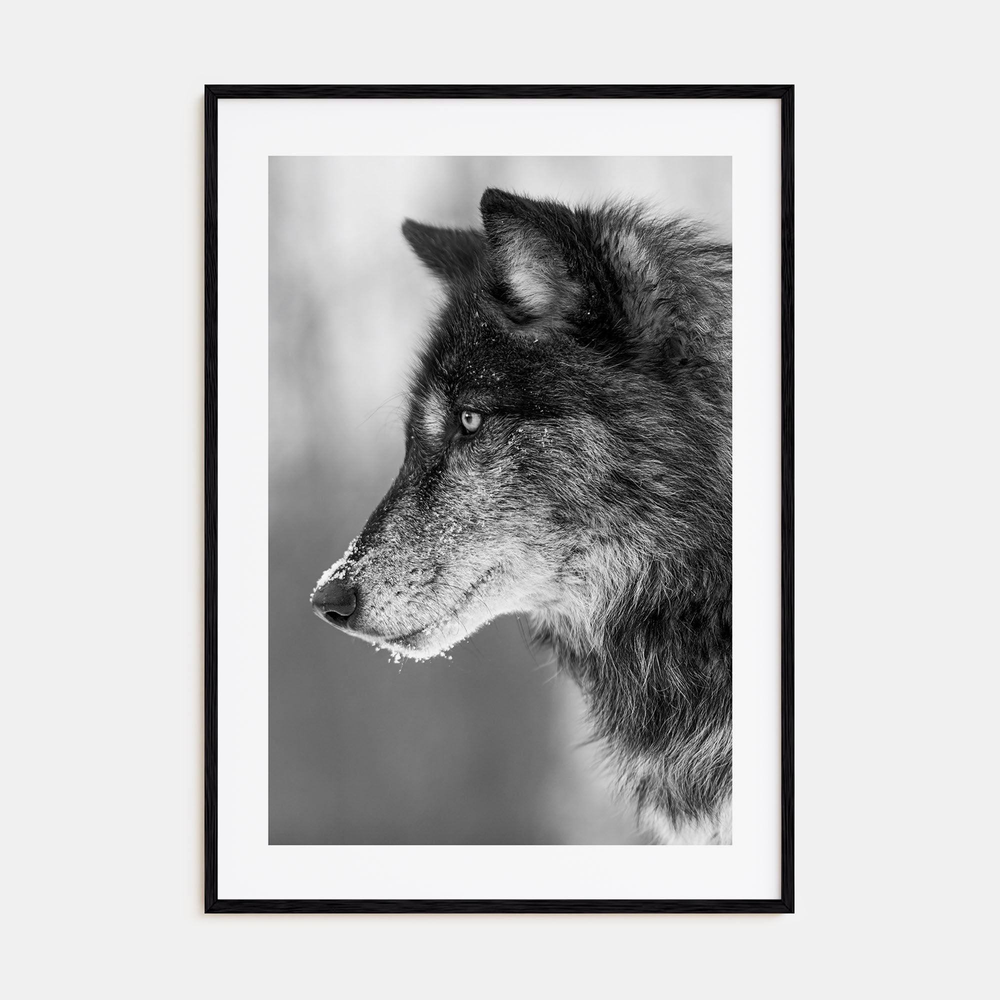 Wolf Photo B&W No 1 Poster