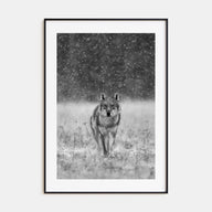 Wolf Photo B&W No 2 Poster