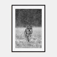 Wolf Photo B&W No 2 Poster