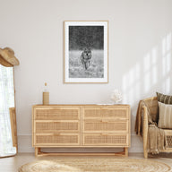 Wolf Photo B&W No 2 Poster