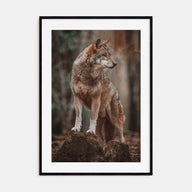 Wolf Photo Color No 1 Poster