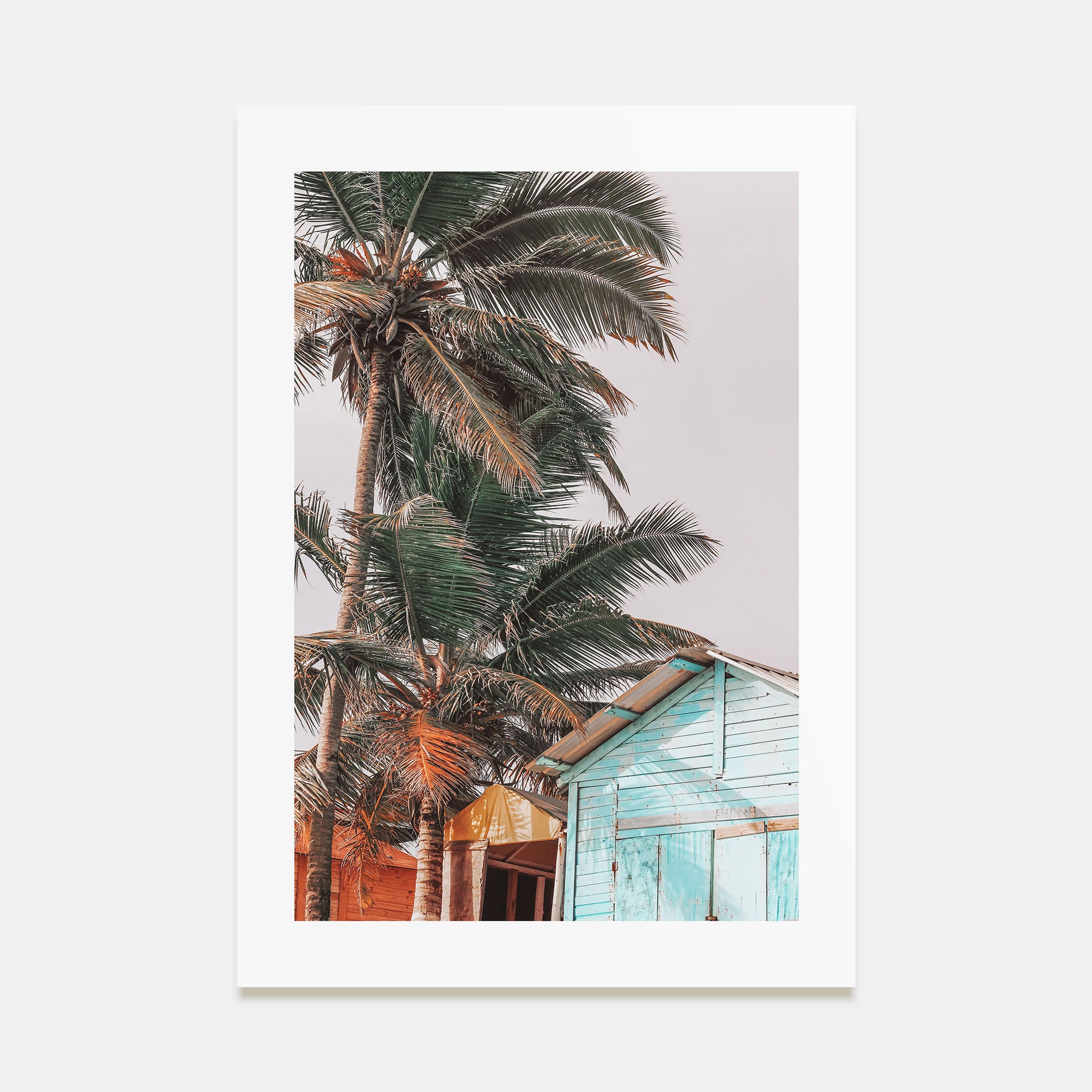 Wooden Cabin Logs Photo Color Poster