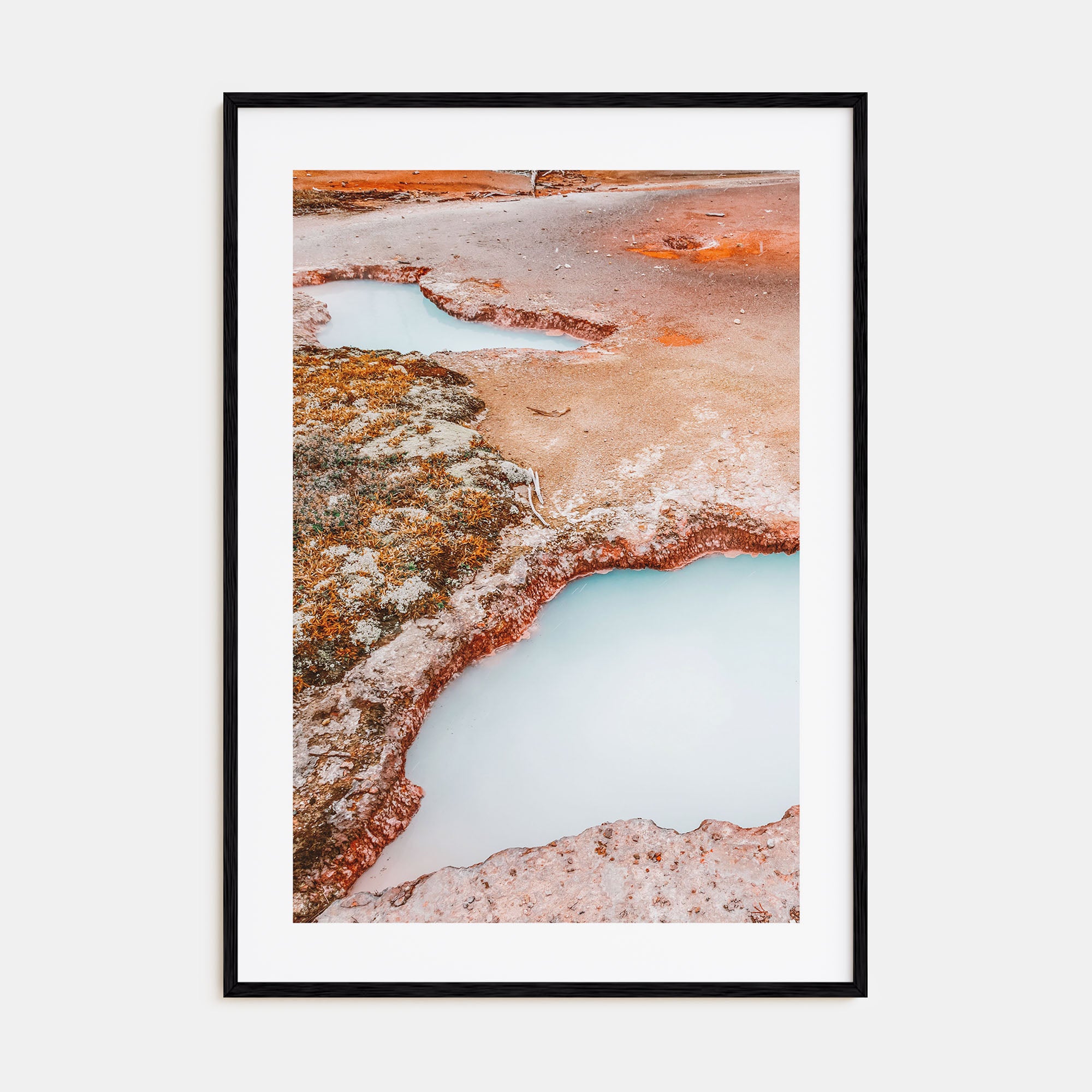 Yellowstone National Park Photo Color No 3 Poster