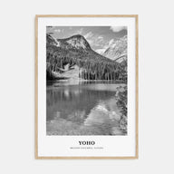 Yoho National Park Portrait B&W Poster