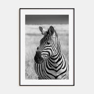 Zebra Photo B&W No 1 Poster