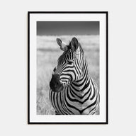 Zebra Photo B&W No 1 Poster