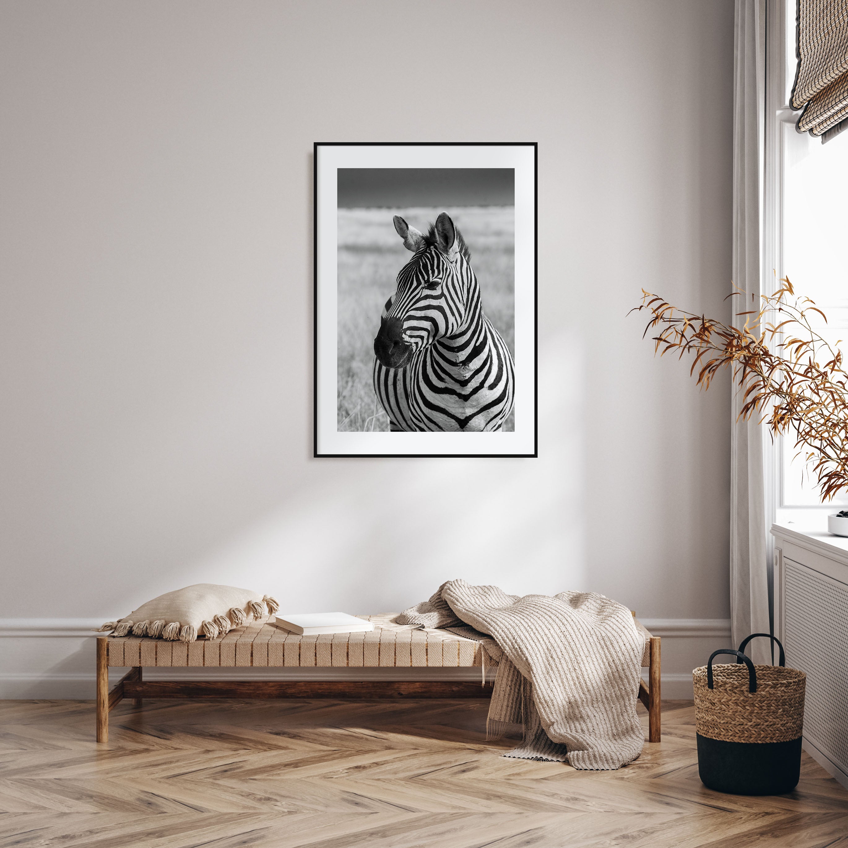 Zebra Photo B&W No 1 Poster
