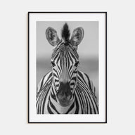 Zebra Photo B&W No 3 Poster