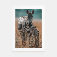 Zebra Photo Color No 1 Poster