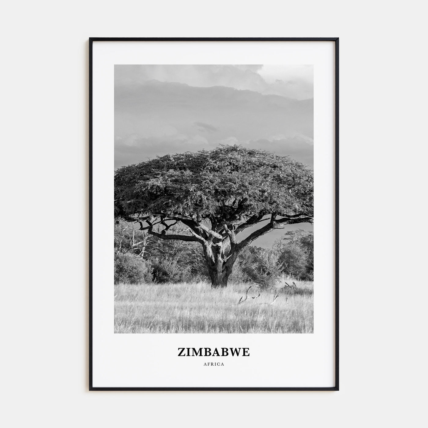Zimbabwe Portrait B&W Poster