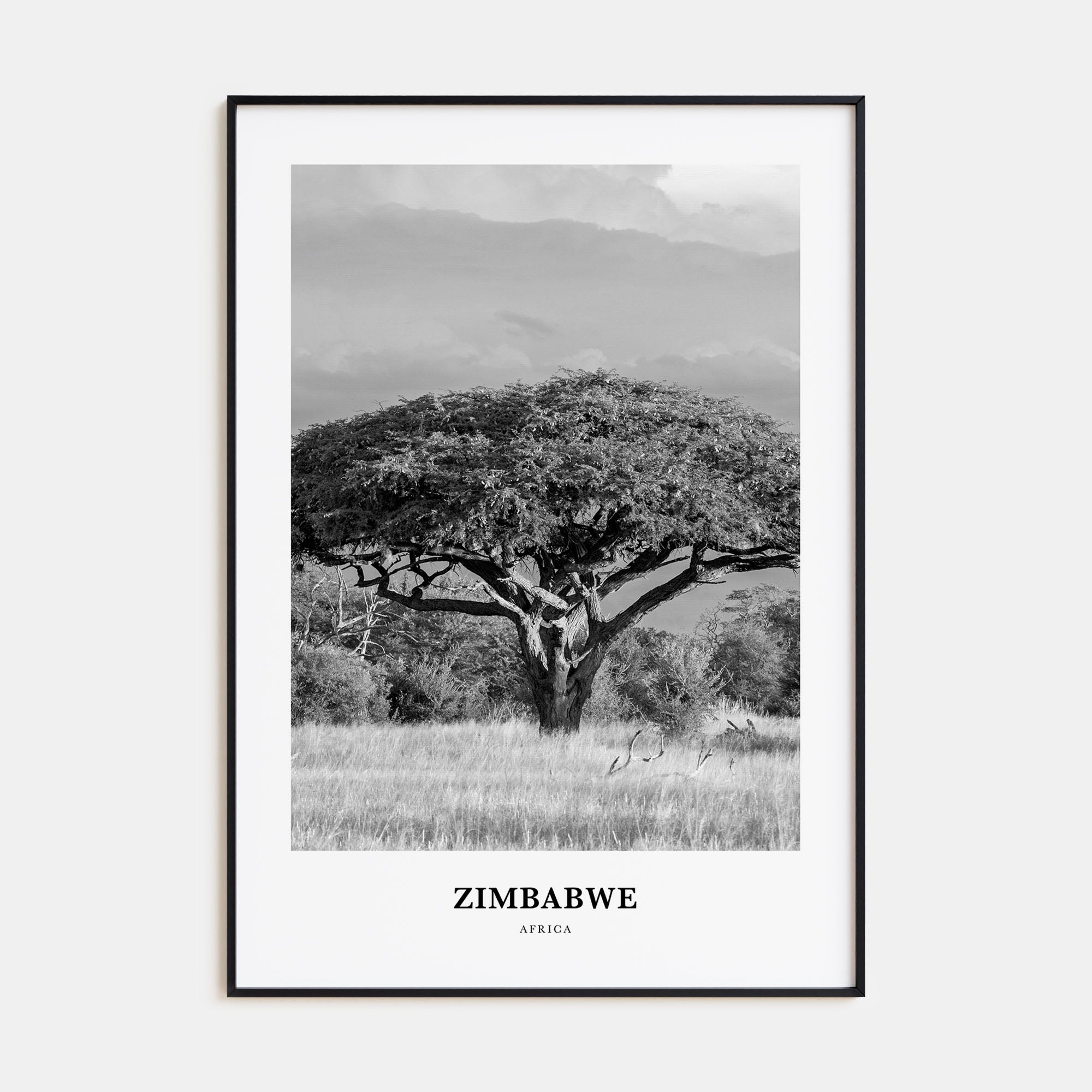 Zimbabwe Portrait B&W Poster
