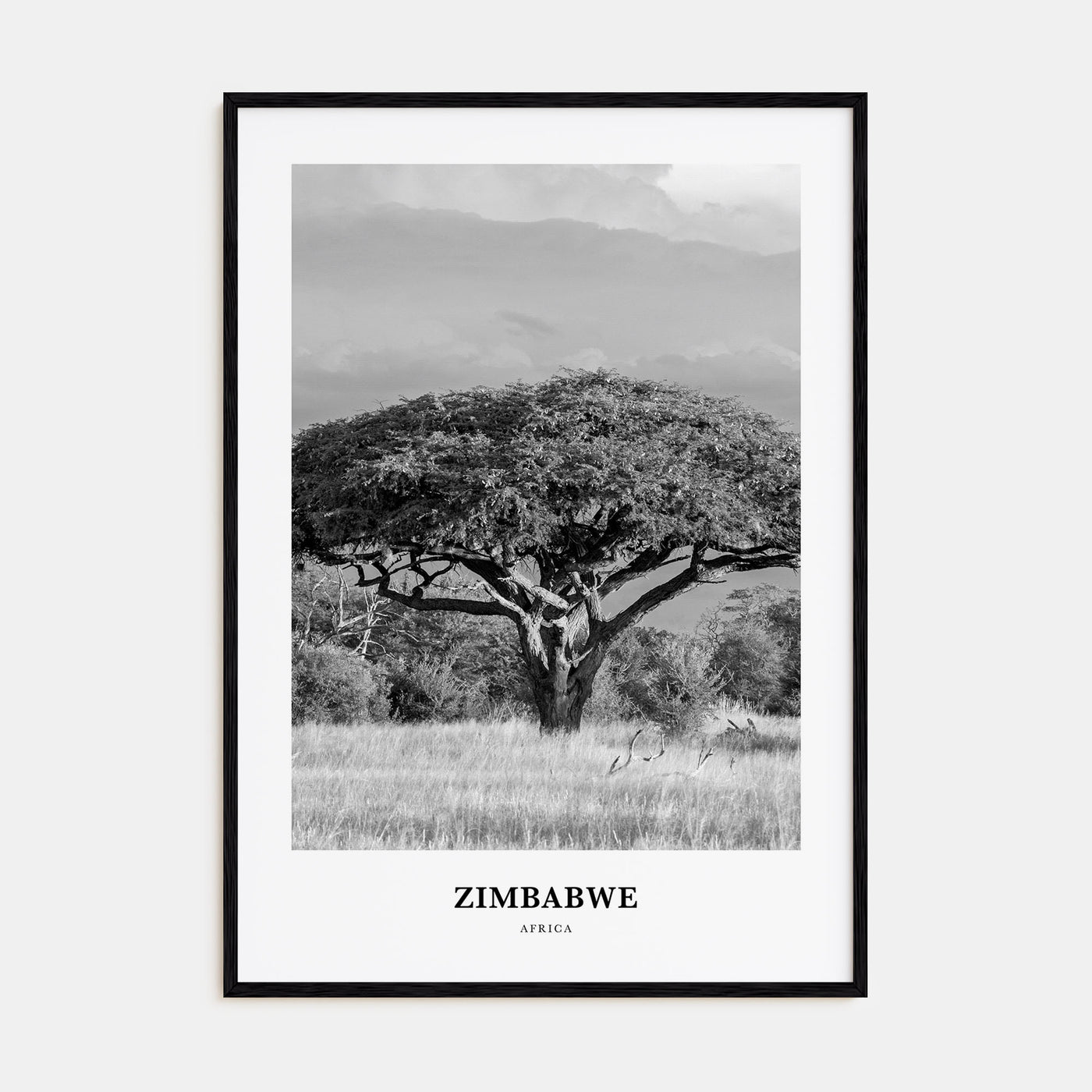 Zimbabwe Portrait B&W Poster