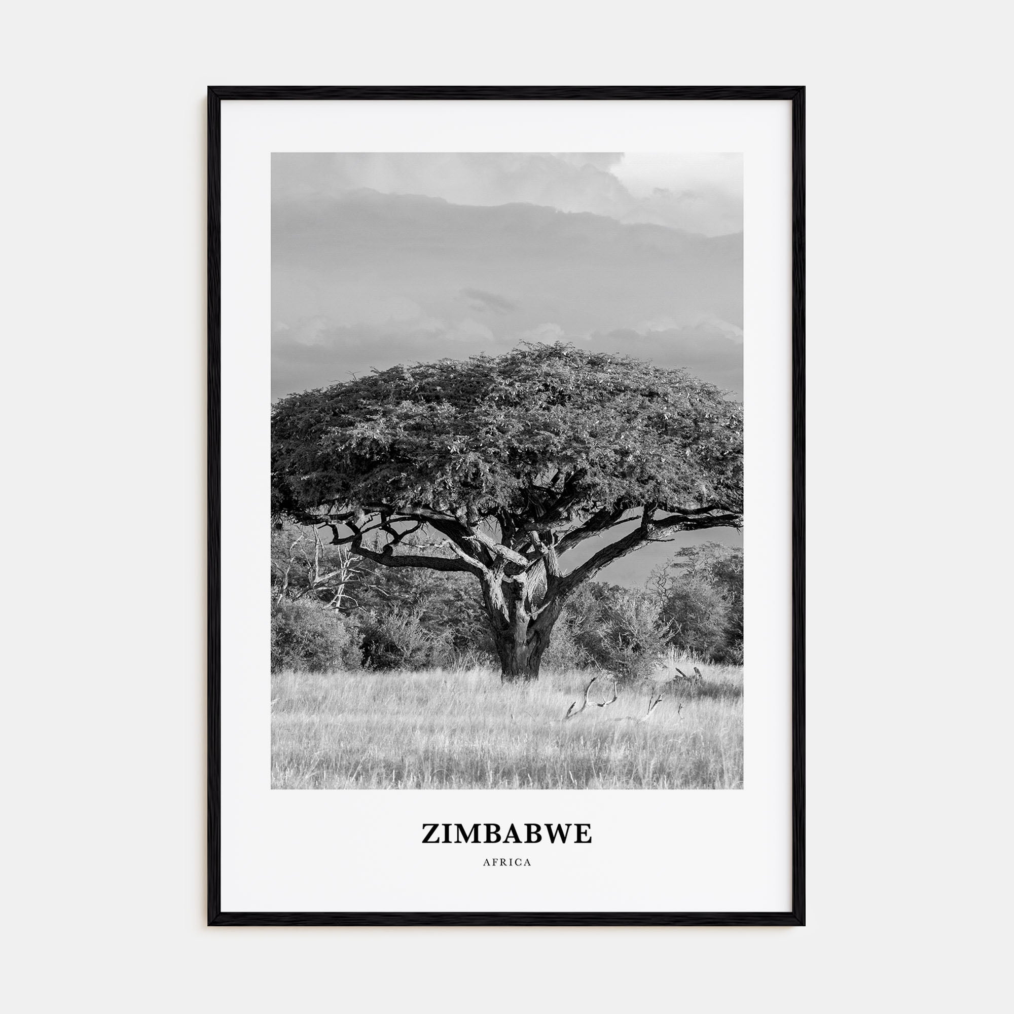 Zimbabwe Portrait B&W Poster