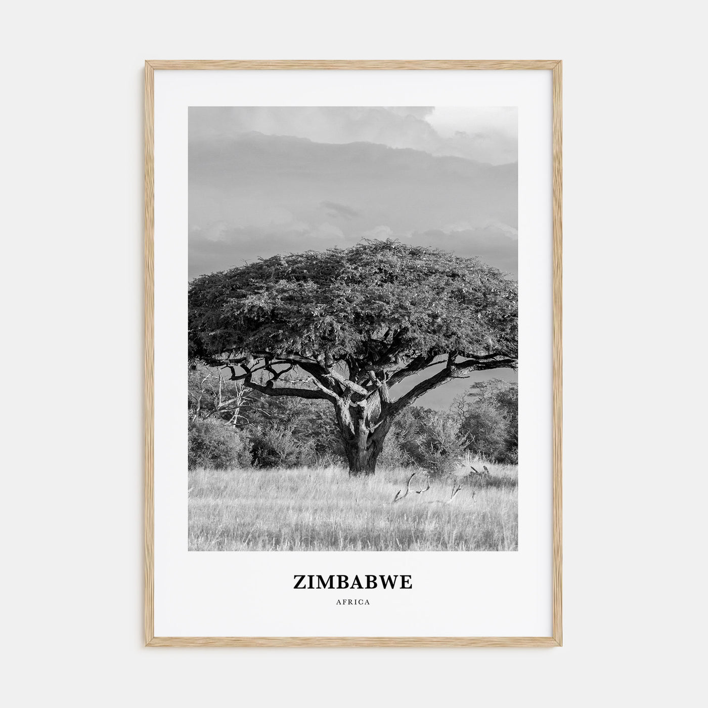 Zimbabwe Portrait B&W Poster