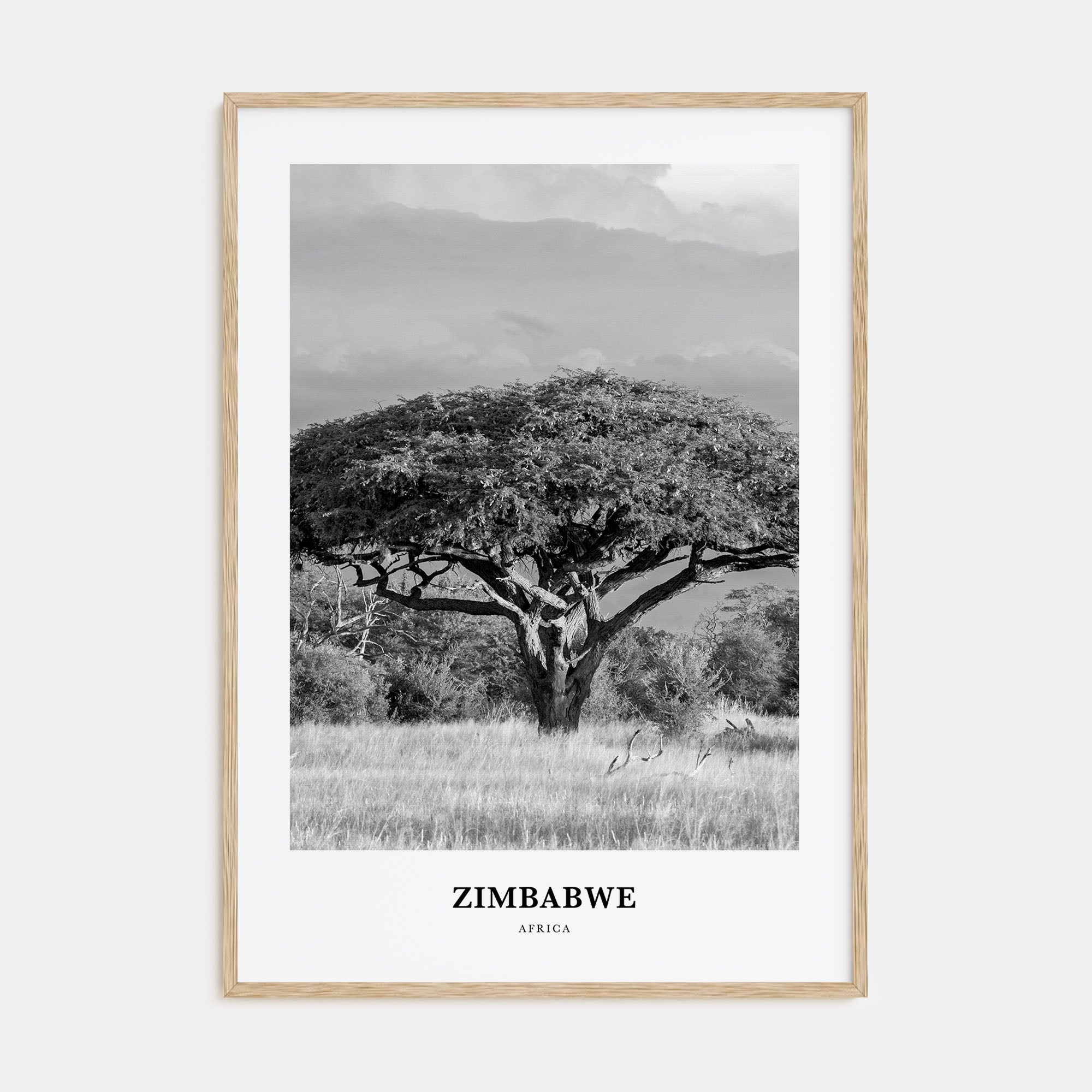 Zimbabwe Portrait B&W Poster