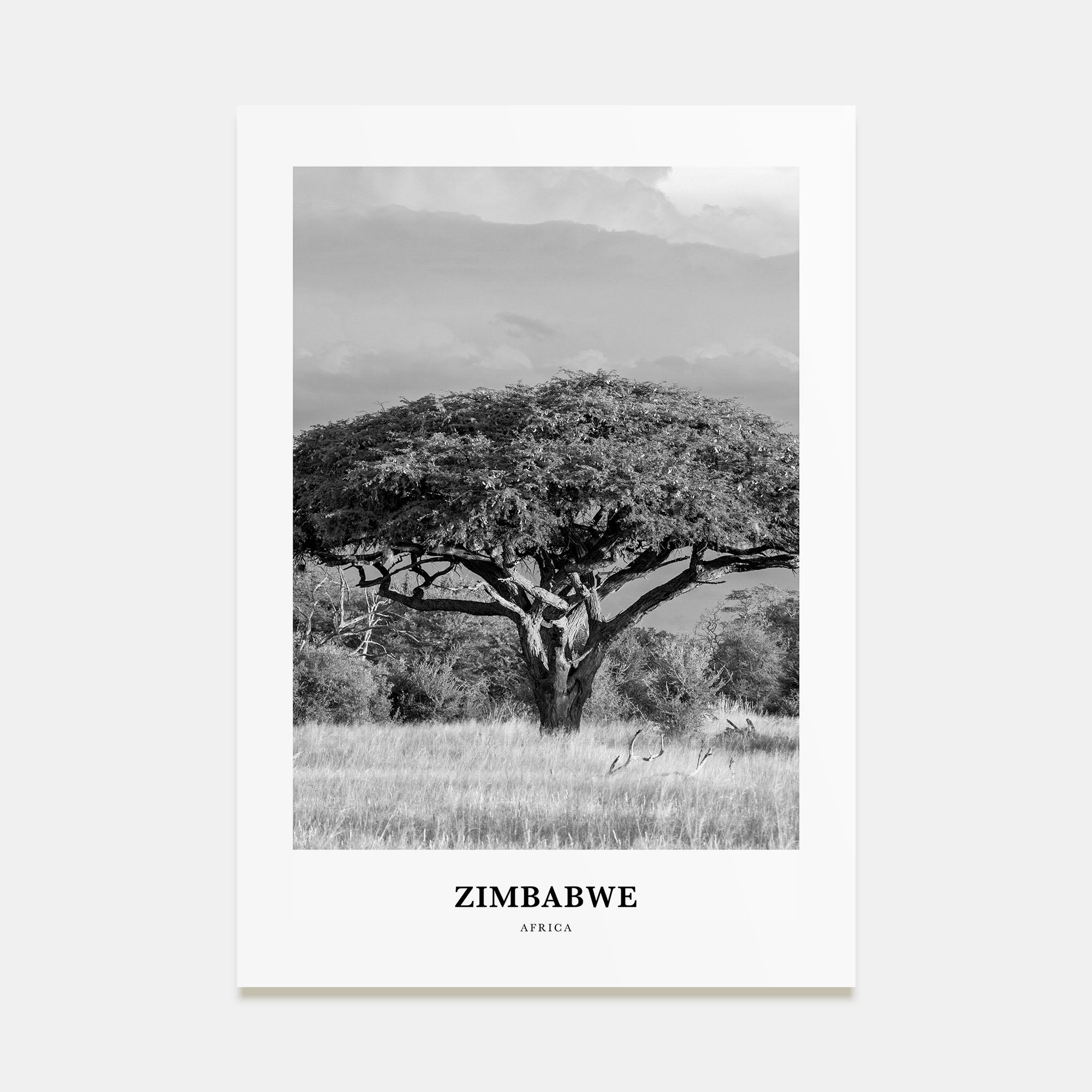 Zimbabwe Portrait B&W Poster