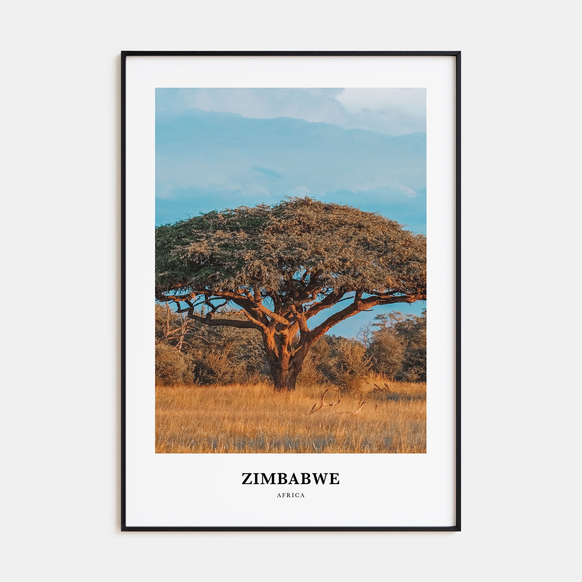 Zimbabwe Portrait Color Poster