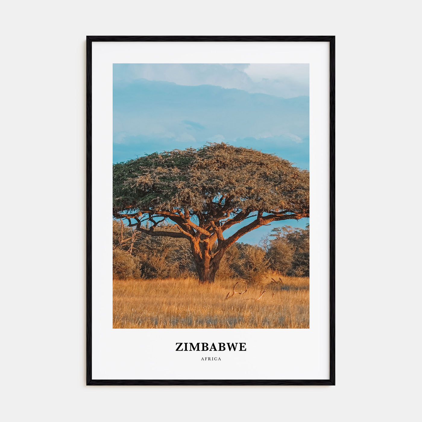 Zimbabwe Portrait Color Poster