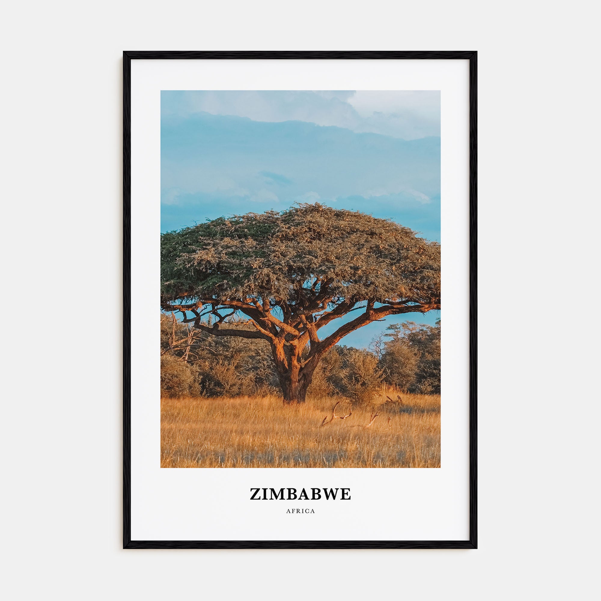 Zimbabwe Portrait Color Poster